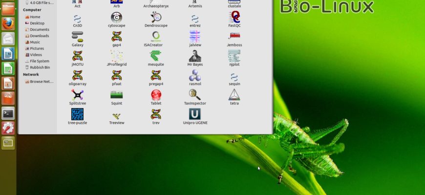 Linux рабочий стол